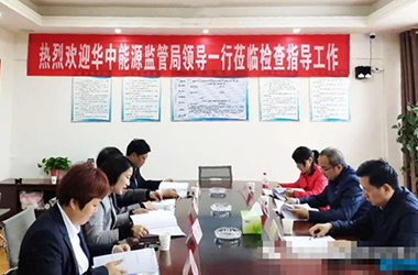华中能源监管局领导莅临公司检查指导工作
