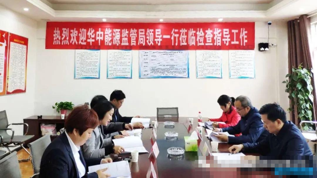 华中能源监管局领导莅临公司检查指导工作