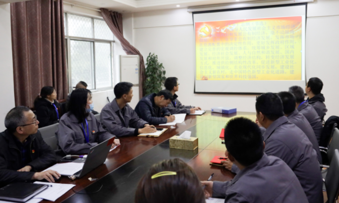 中建国信集团各党支部召开2021年3月党日活动(图3)